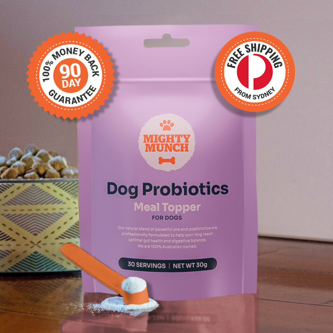 Fashion probiotics for dogs australia