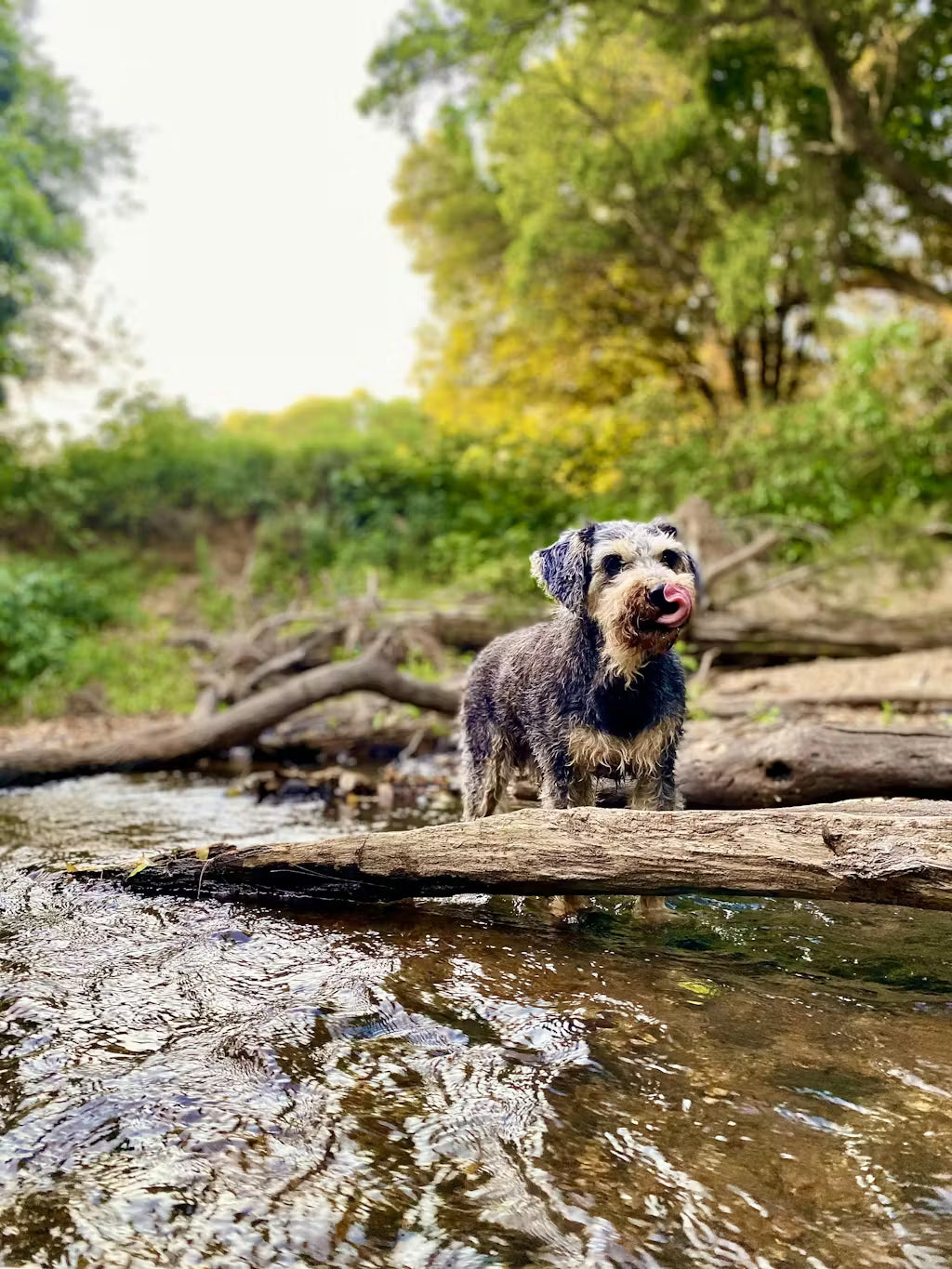 Emma, NSW