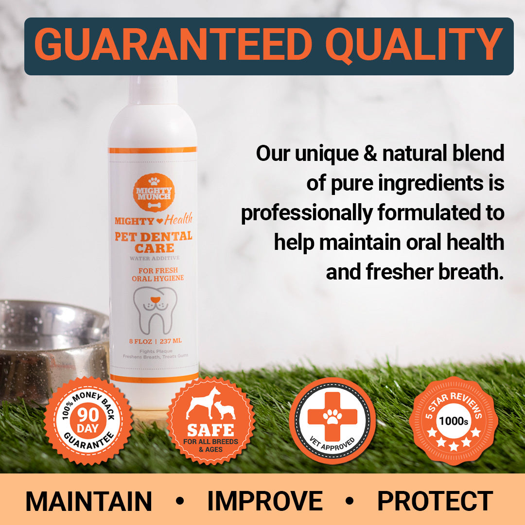 Liquid teeth cleaner for dogs best sale