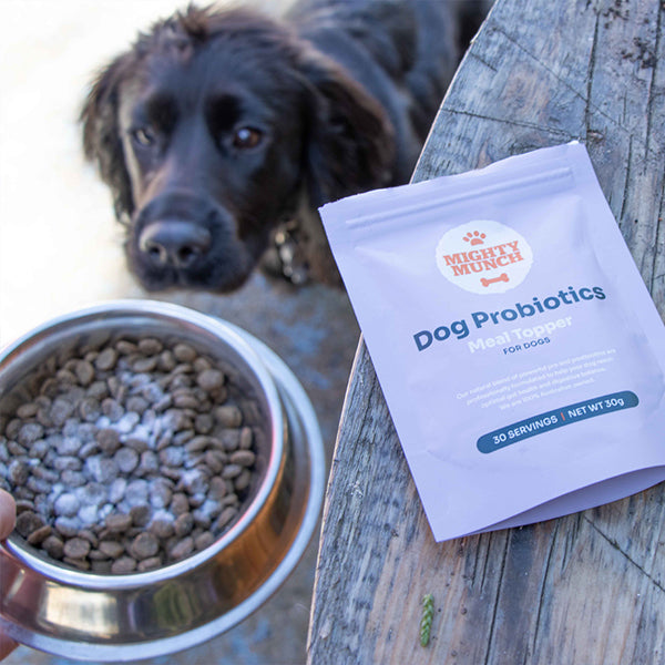 Best dog shop food with probiotics