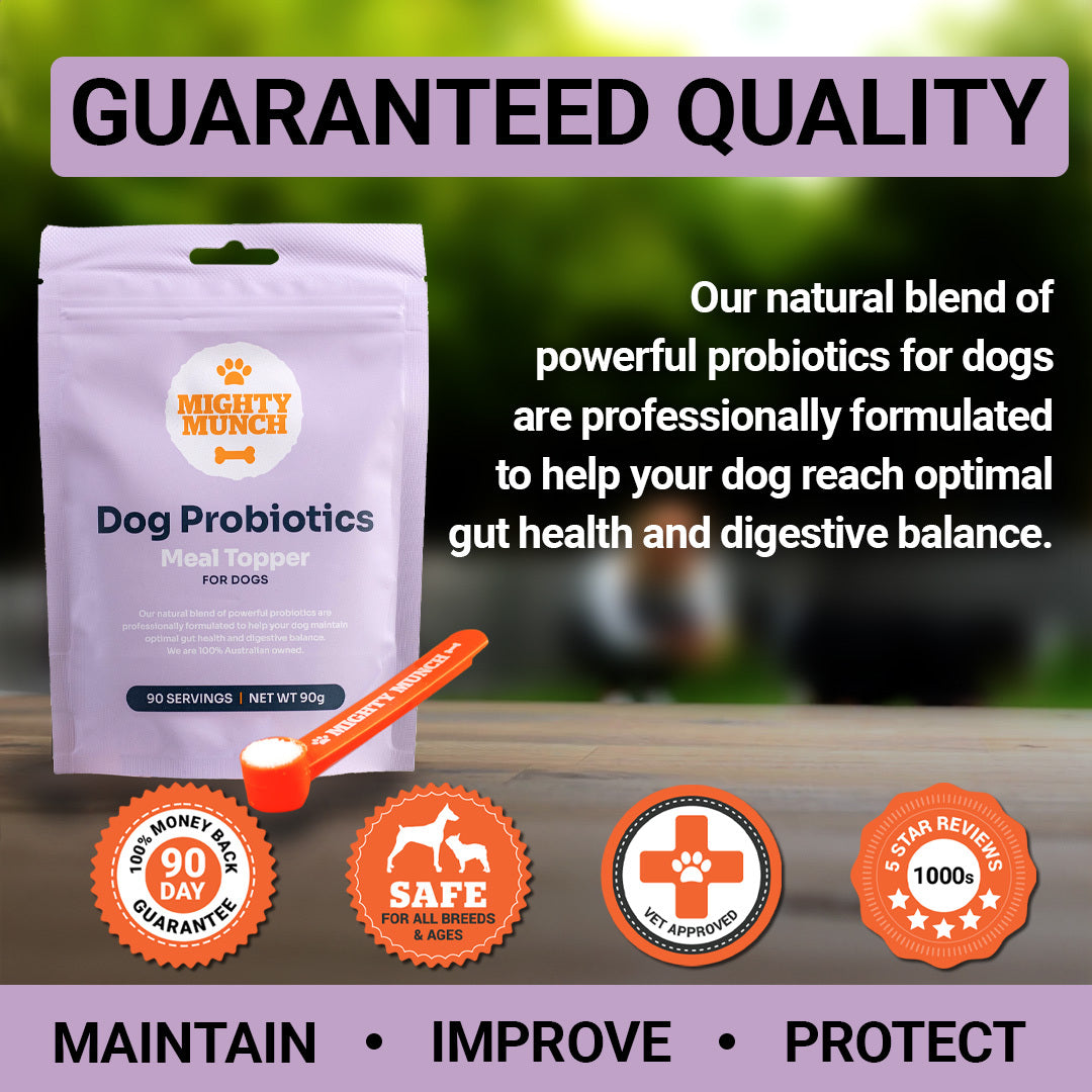 Mycequin probiotic hot sale for dogs