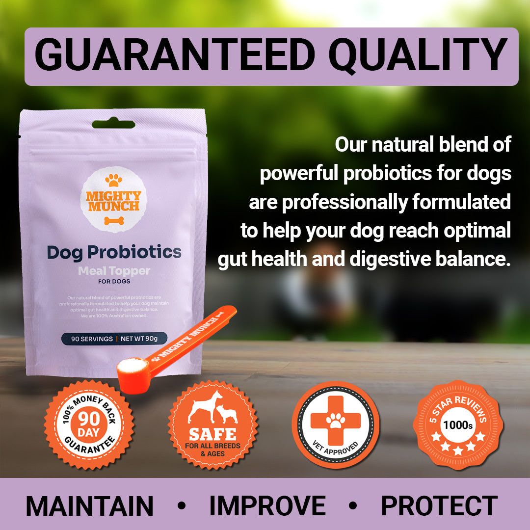 Dog Probiotics (NZ)