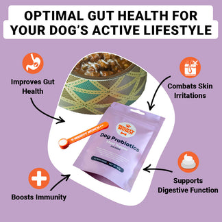 Dog Probiotics | Australia – Mighty Munch AU