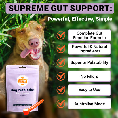 Dog Probiotics