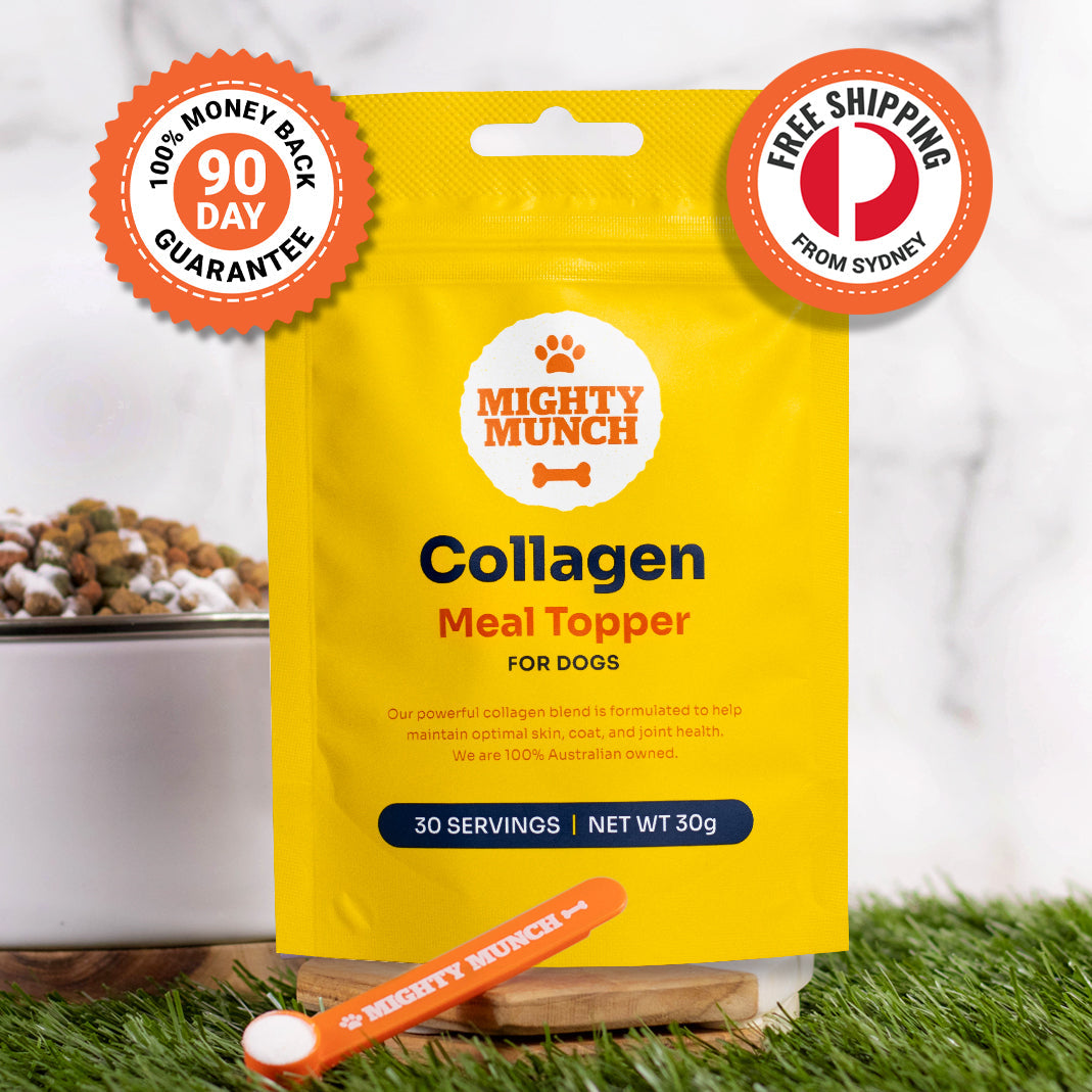 Collagen Meal Topper (Promo)
