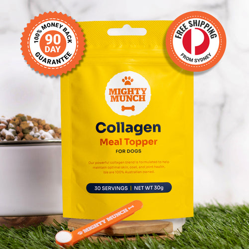 Collagen Meal Topper | Collagen for Dogs