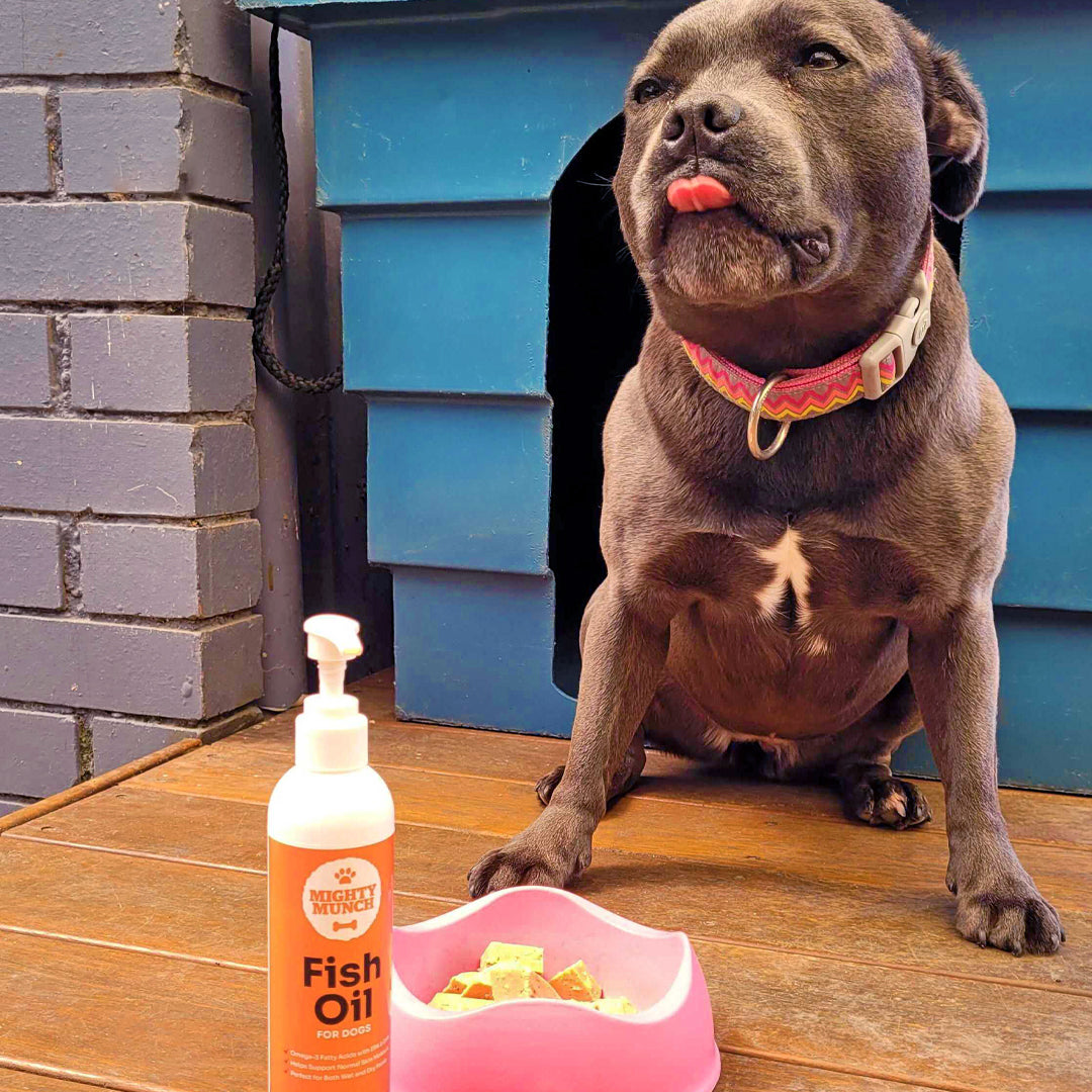 Fish oil for outlet dogs australia