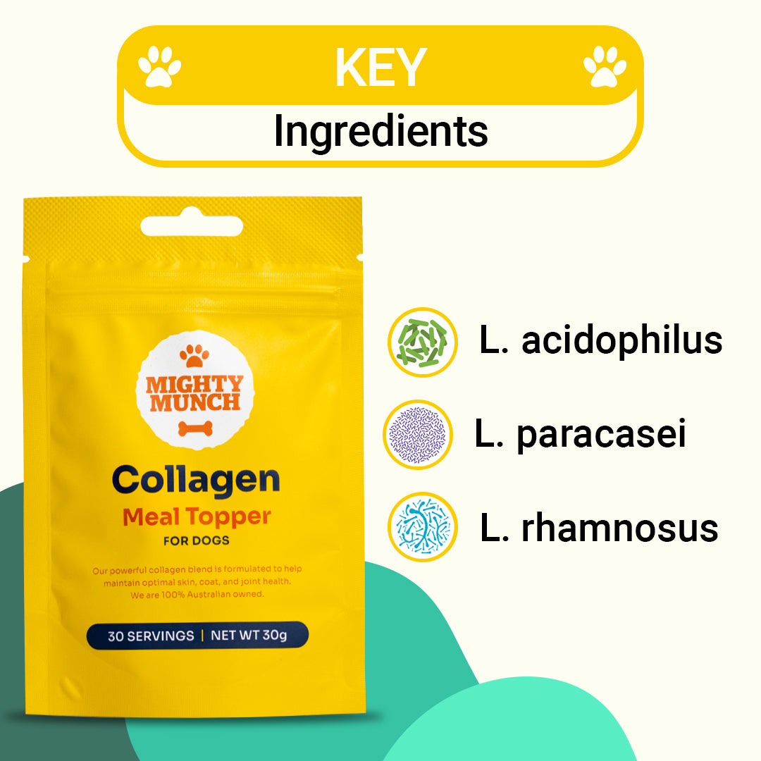 Collagen Meal Topper | Collagen for Dogs